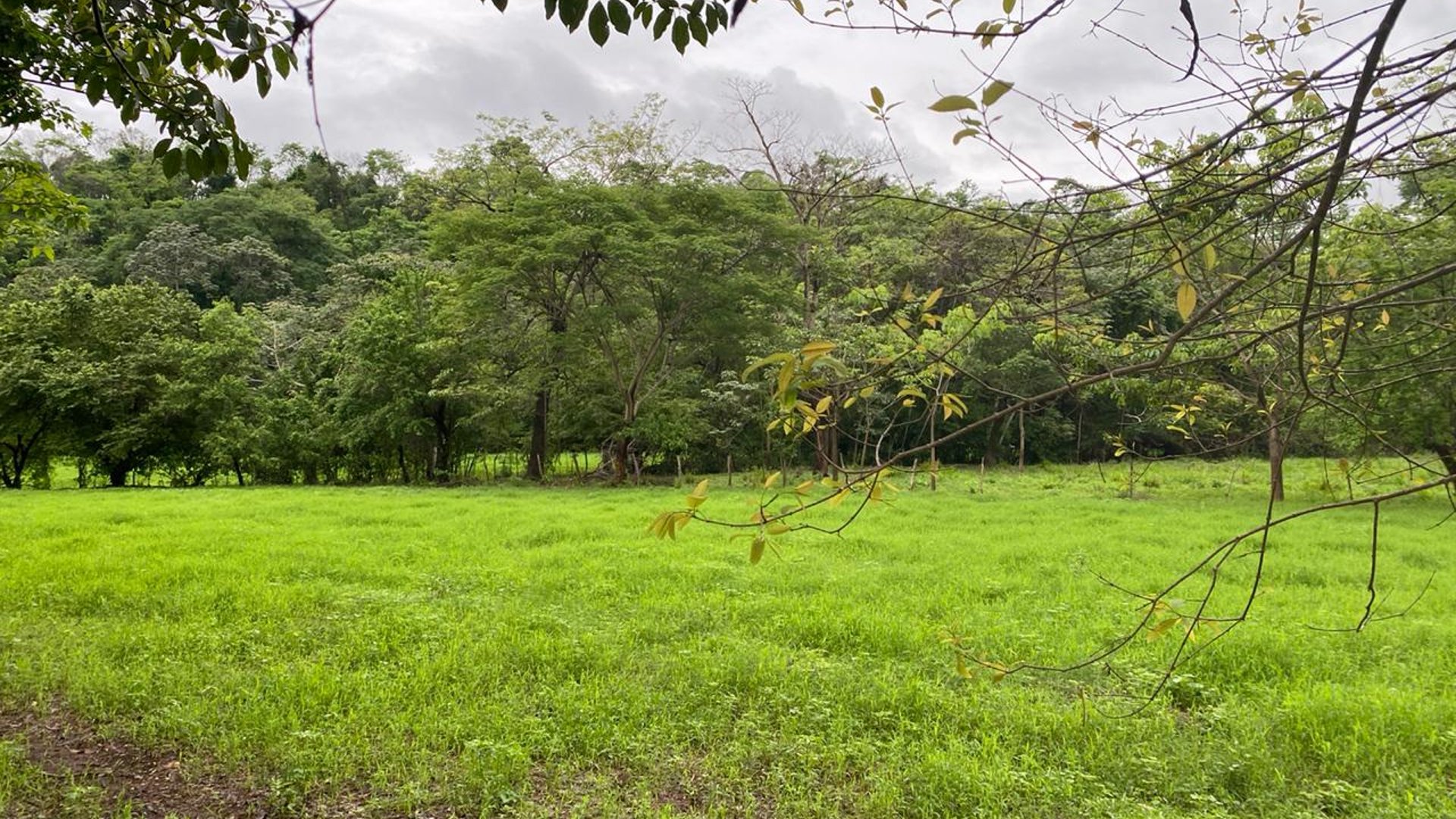 FINCA EN SANTA ROSA - Miniatura 8