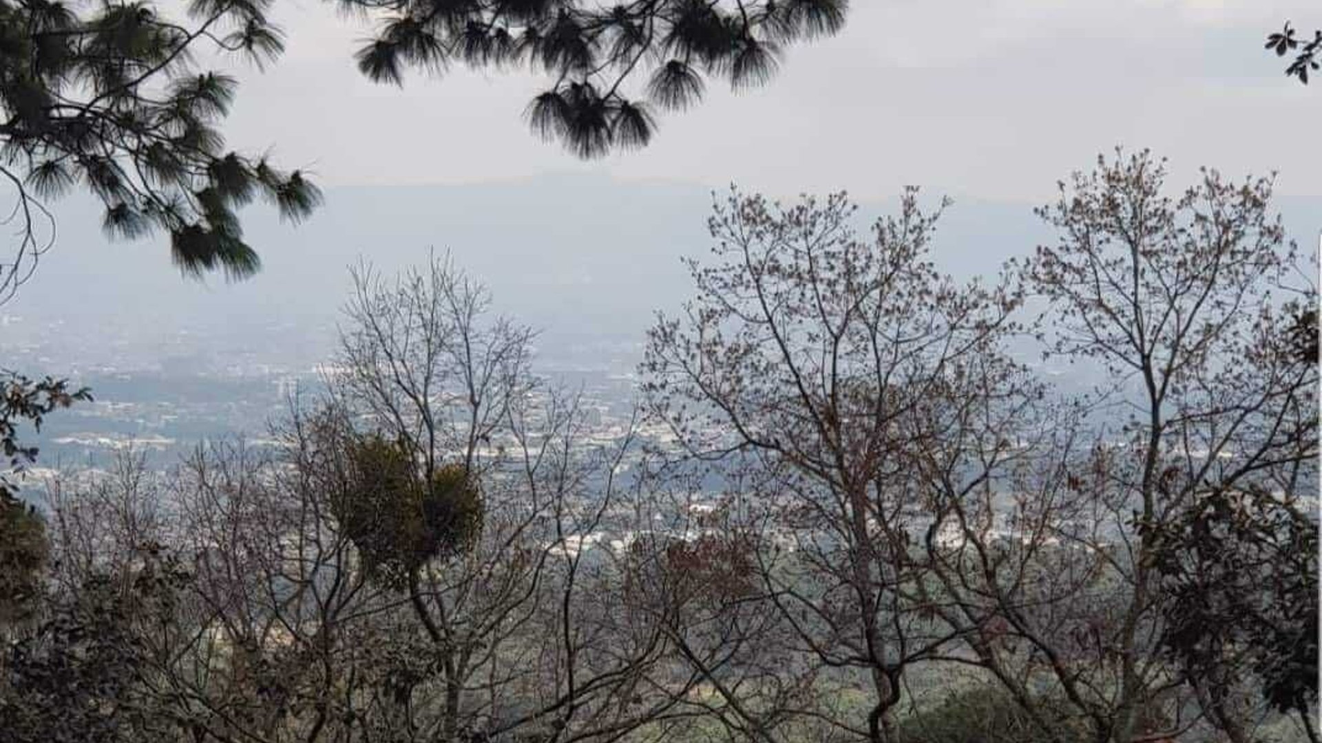 EL ENCINAL/ TERRENO EN VENTA - Miniatura 5