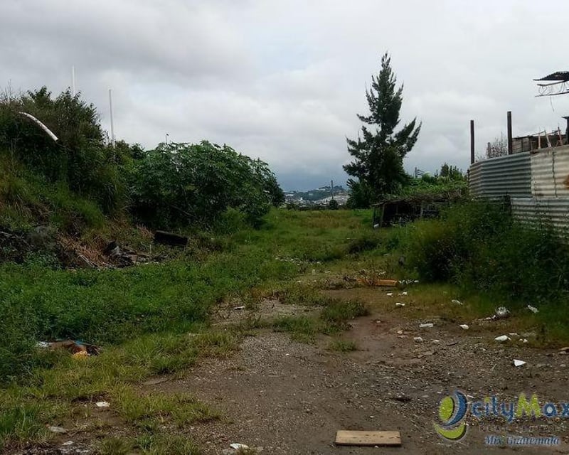 Vendo Terreno de 7,250vrs² adelante de Ciudad Peronia