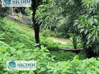 🏡 Land for Sale in Residencial Santa Rosalía La Laguna, Guatemala - Image 4