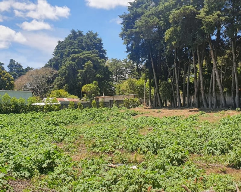 Terreno en venta, CES km 22.8