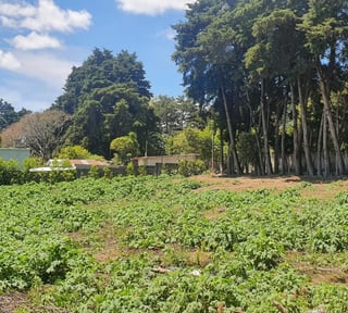 Terreno en venta, CES km 22.8