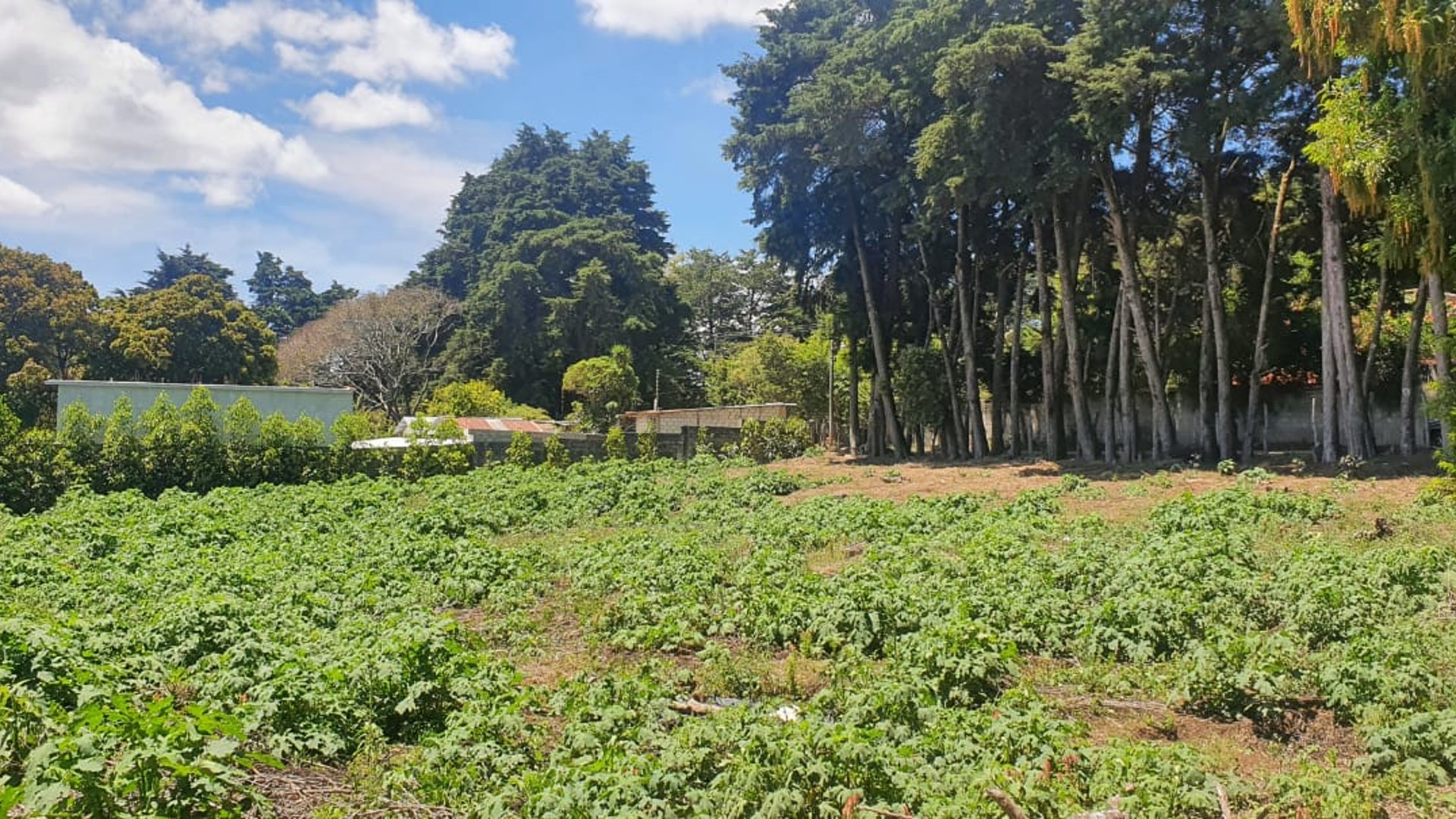 Terreno en venta, CES km 22.8