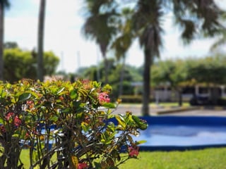 Terreno Vacacional en Venta Lagunas de Torremolinos - 2