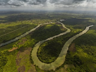 Finca Forestal en Venta – Petén, Guatemala - Image 3
