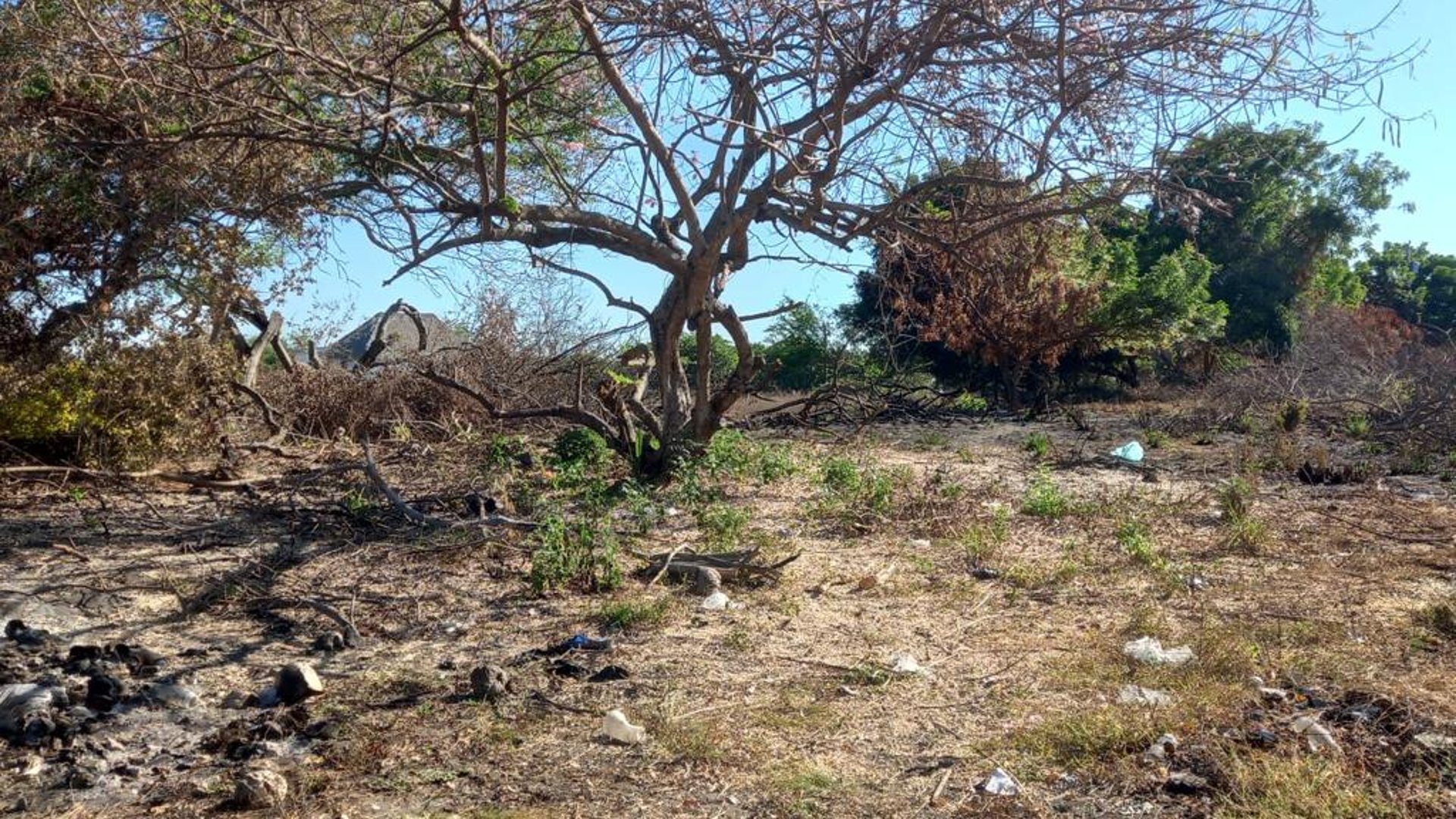 Terreno en venta camino a Monterrico - Miniatura 9