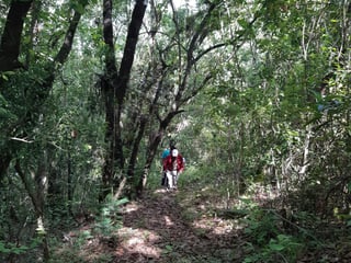 Terreno en venta, El Encinal  - 3