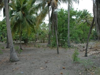 Land for Sale in Tulate, Guatemala - 7185 m² - $199,000 - Image 17