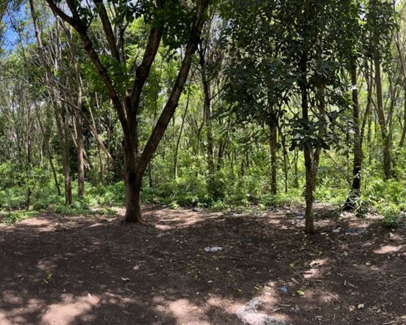 TERRENO EN VENTA EN ALDEA SANTA ANA, ANTIGUA GUATEMALA 