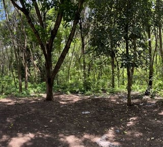 TERRENO EN VENTA EN ALDEA SANTA ANA, ANTIGUA GUATEMALA 
