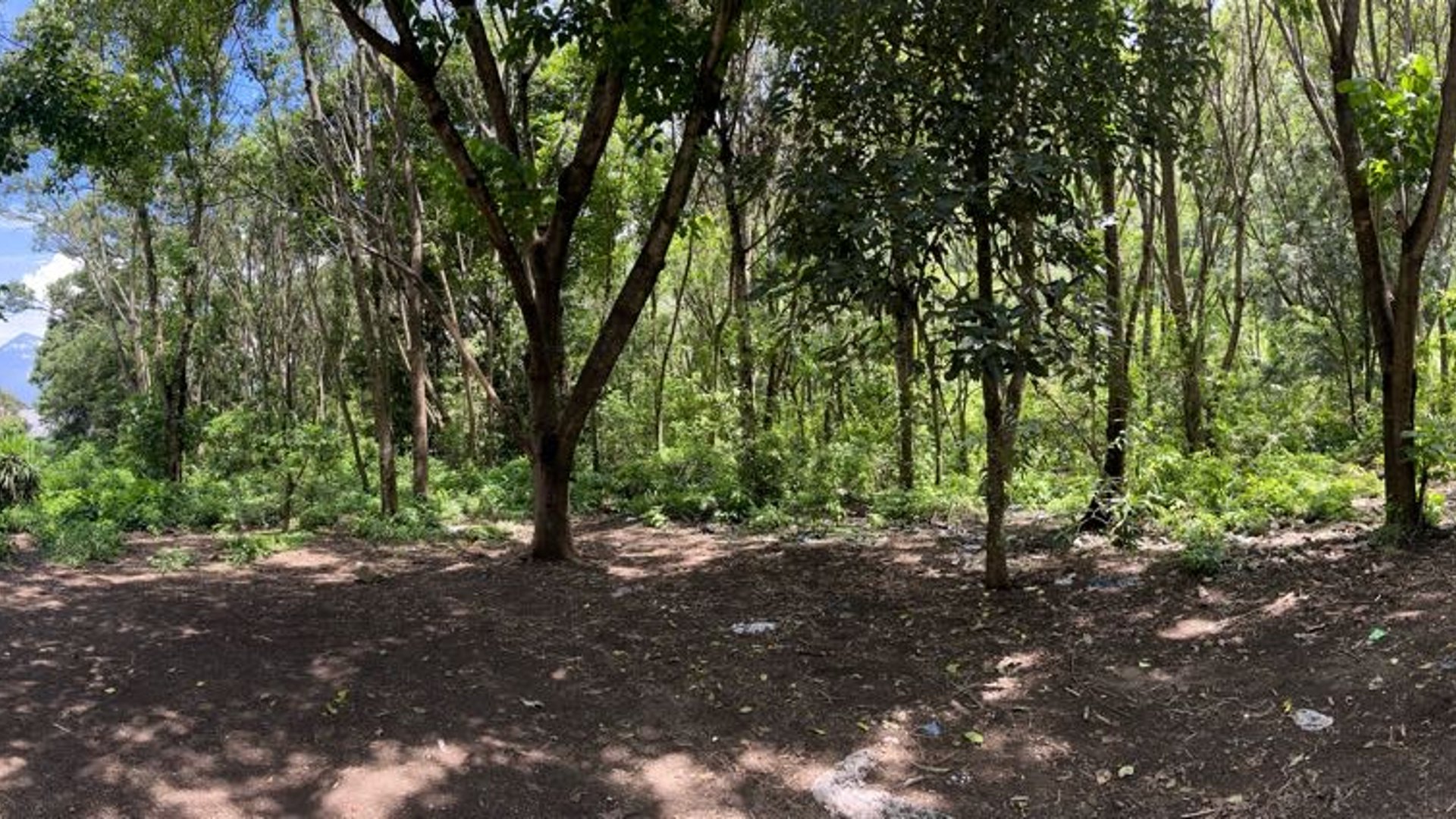 TERRENO EN VENTA EN ALDEA SANTA ANA, ANTIGUA GUATEMALA 