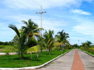 2TERRENOS EN VENTAQuintas La Ponderosa, km77Autopista a Puerto Quetzal - 2