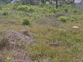Renta Terreno Comercial Santa Catarina Pinula 18.5 - 2