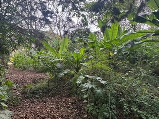Terreno en Venta en Carretera San Lucas hacia Antigua - Image 15
