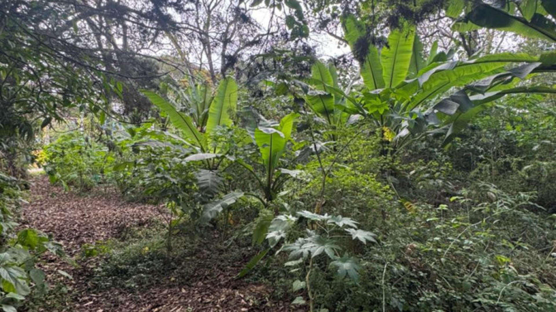 Terreno en Venta en Carretera San Lucas hacia Antigua - Miniatura 15