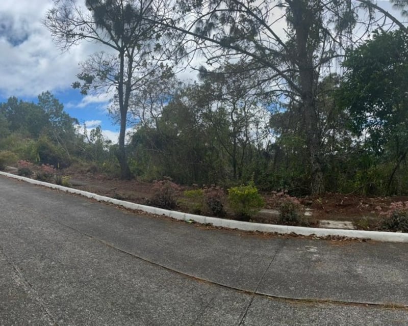 Terreno en Venta en Alta Vista Country Club
