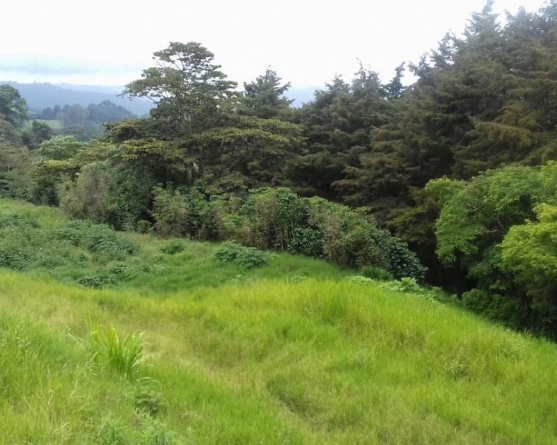 TERRENO EN VENTA  ORILLA CARRETERA A FRAIJANES