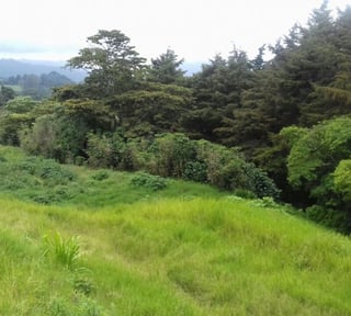 TERRENO EN VENTA  ORILLA CARRETERA A FRAIJANES