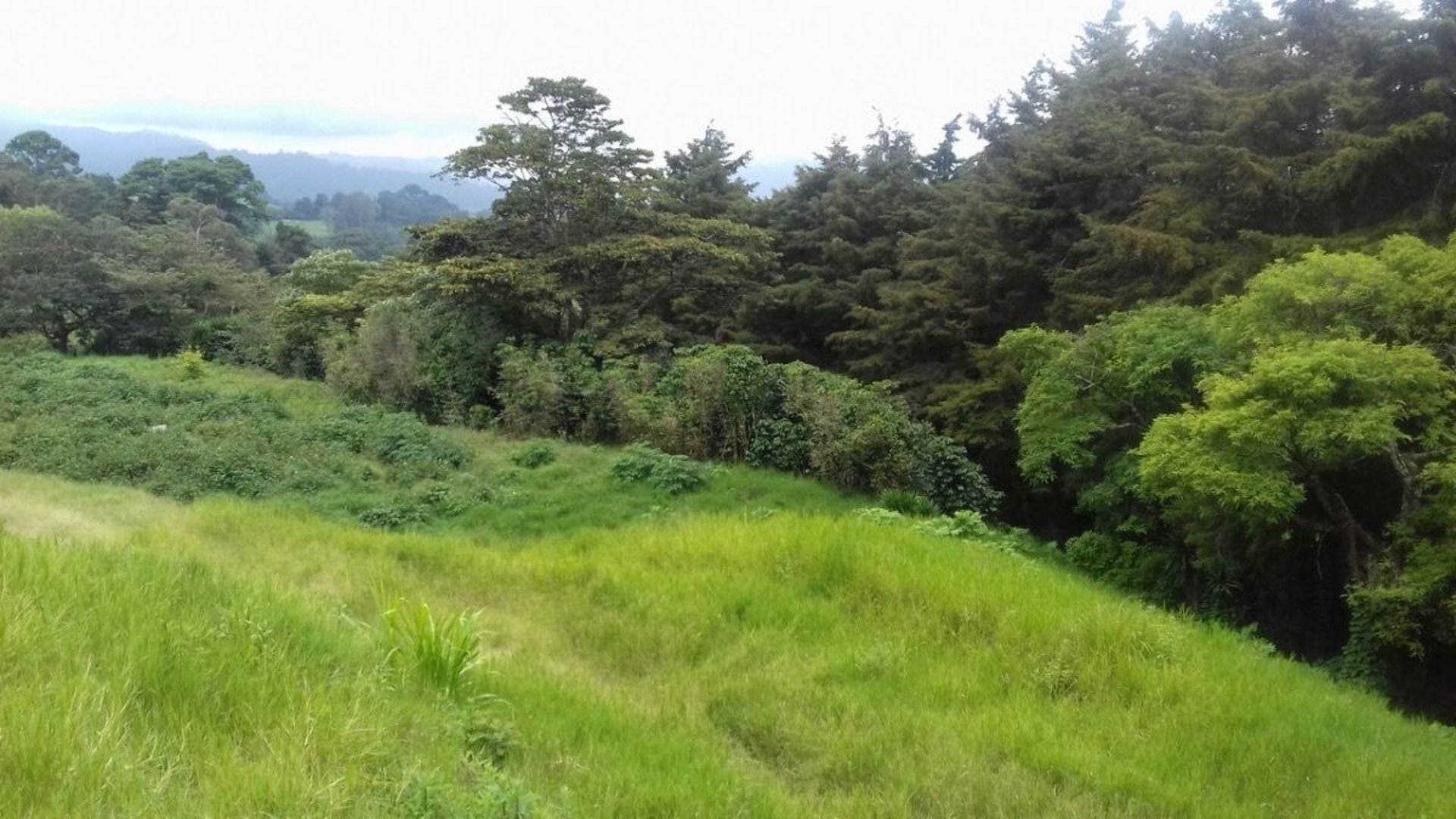 TERRENO EN VENTA  ORILLA CARRETERA A FRAIJANES