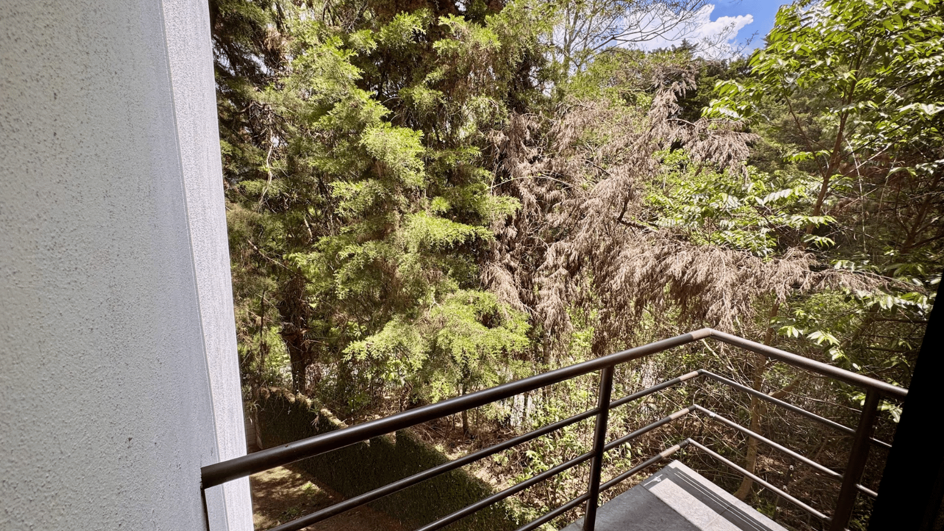 ALQUILER DE LINDO APARTAMENTO - VILLA ENSENADA, ZONA 16 - Miniatura 15