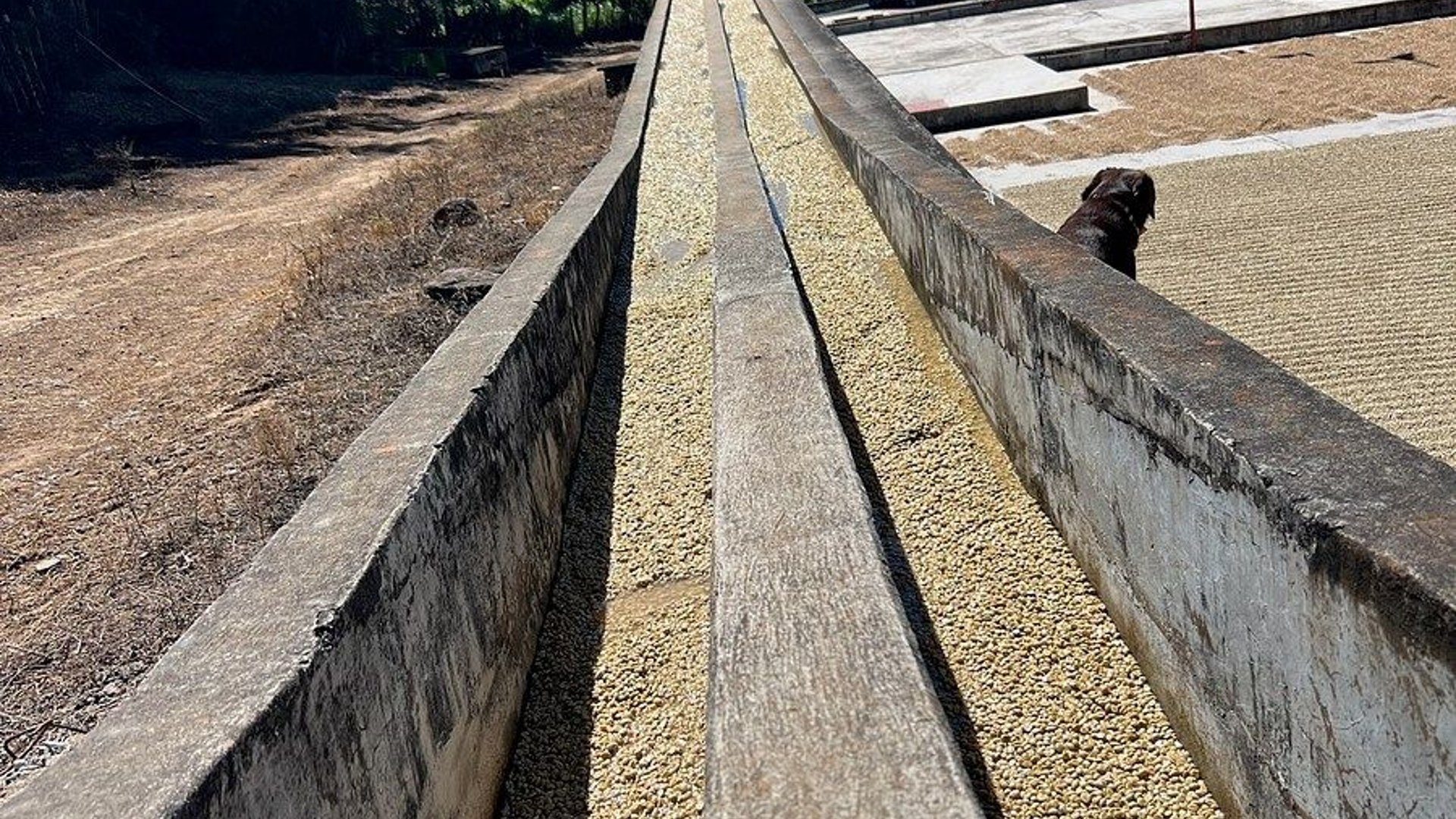 Finca en VENTA en  Barberena, Santa Rosa - Miniatura 8