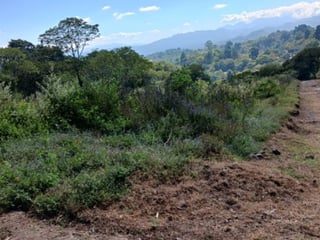 Terreno residencial en venta en Vistas de Versalles I - 3