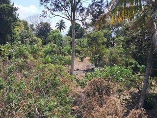 Terreno en ALQUILER en Amatitlán - 3