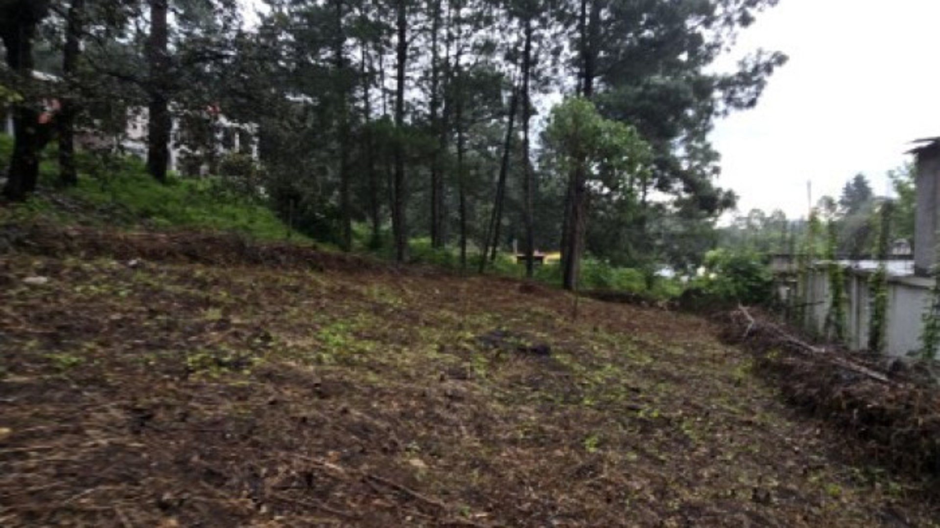 Terreno en Venta Hacienda Manzanales Santa María Cauque - Miniatura 7
