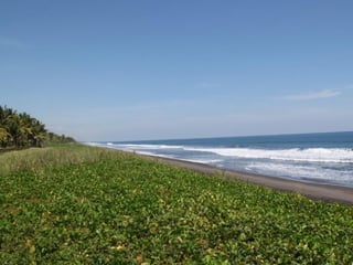 Apartamento en Venta o Renta en Los Cabos Monterrico - 5