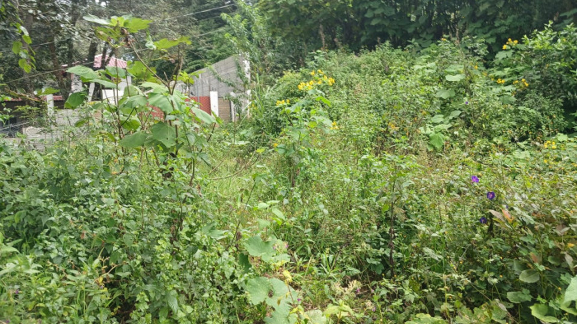 TERRENO EN VENTA EN SAN LUCAS SACATEPEQUEZ - Miniatura 3