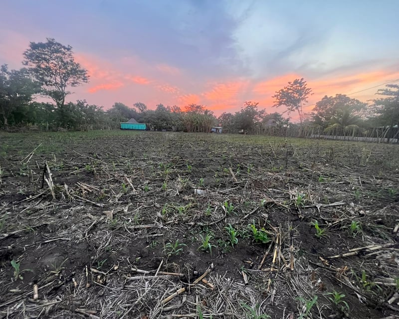 Terreno Agrícola en Venta Puerto San José Parcelamiento