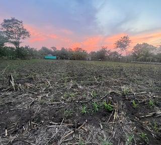 Terreno Agrícola en Venta Puerto San José Parcelamiento