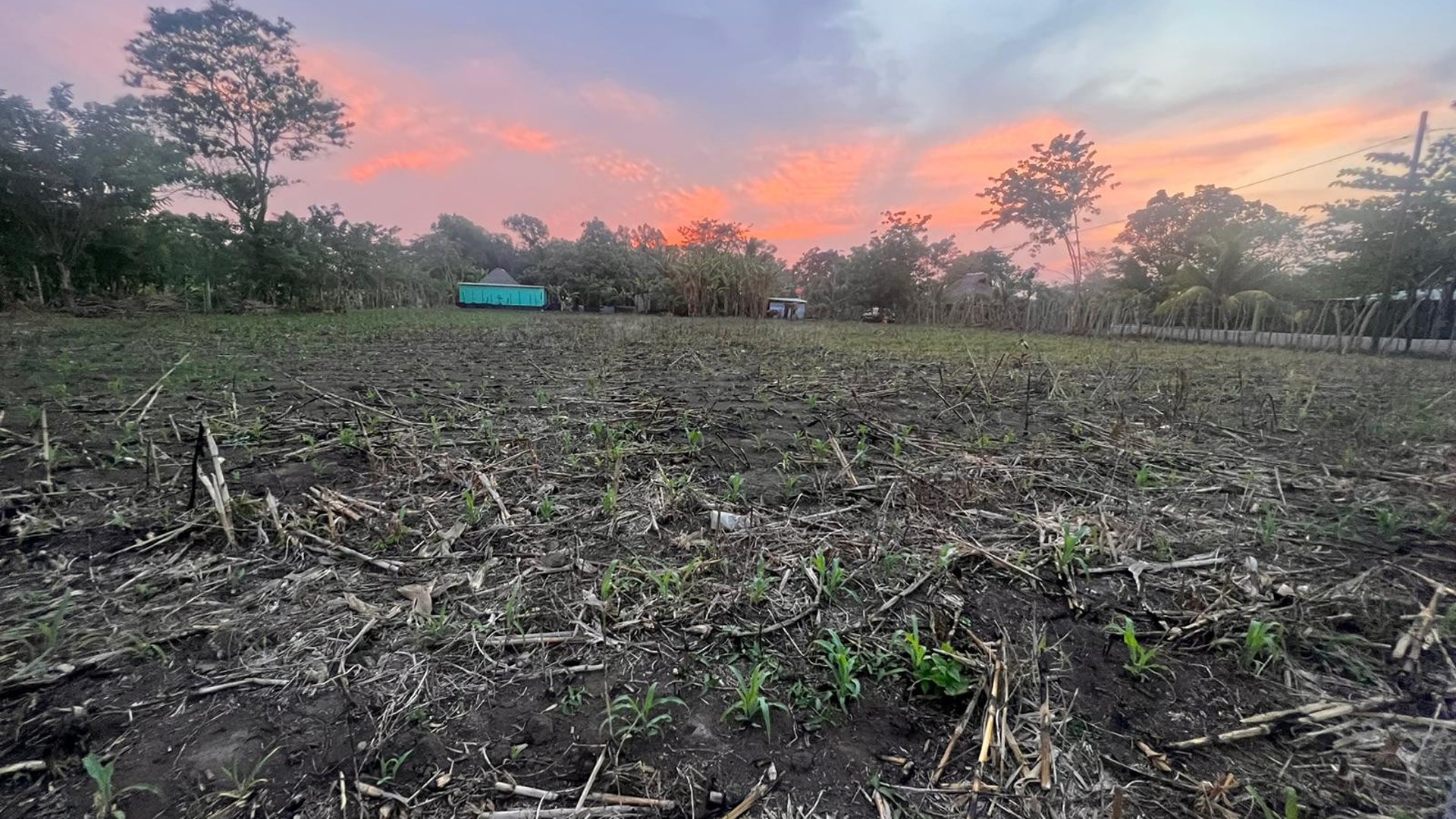 Terreno Agrícola en Venta Puerto San José Parcelamiento