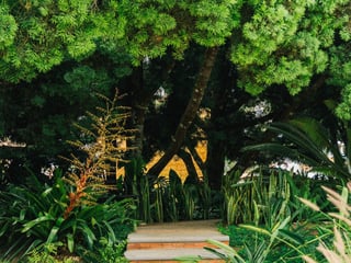 CASA EN VENTA EN ANTIGUA GUATEMALA - Image 11
