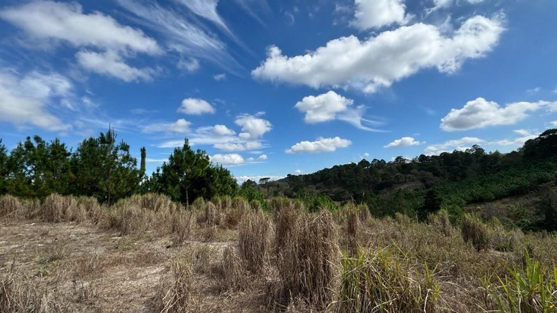 SAN PEDRO AYAMPUC/ FINCA EN VENTA PARA DESARROLLO - Miniatura 13