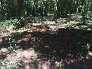 Terreno en Fraijanes KM 20.5 Carretera al Salvador - 3