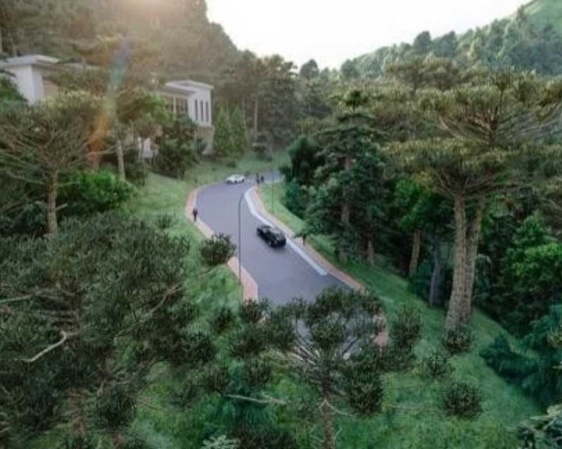 TERRENOS EN VENTA EN BOSQUE CASUARINAS, SANTA ROSALÍA