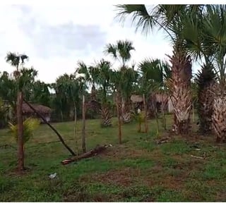 TERRENO EN VENTA – ALDEA EL CEBOLLITO, HAWÁI CHIQUIMULA