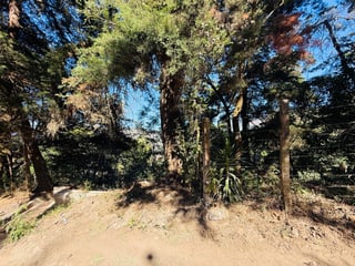 VENTA DE AMPLIO TERRENO - EL HATO, ANTIGUA GUATEMALA - 3