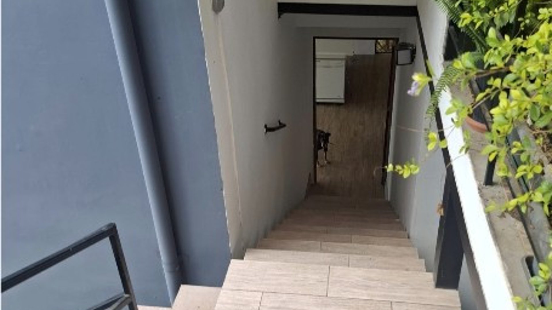 En Renta Apartamento Bellas Luces Santa Catarina Pinula - Miniatura 15