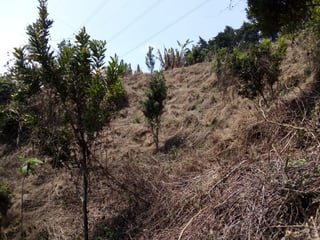 Terreno en Carretera al Salvador km 26 Sta. Elena - 5