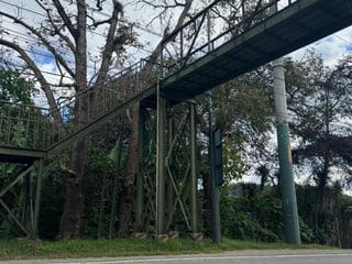 Terreno en Venta en Carretera San Lucas hacia Antigua - Image 13