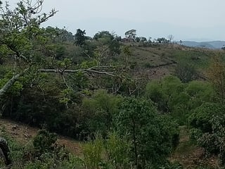 Terreno en Venta en Palencia, Guatemala - 4