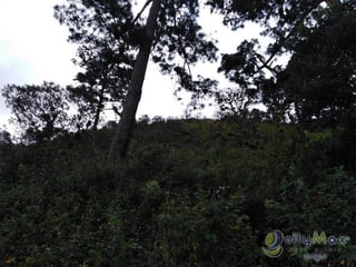 Venta de terreno comercial en zona 16! - 5