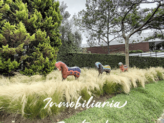 TERRENO EN VENTA | LA RESERVA, CLUB ECUESTRE EL PULTÉ - Image 19