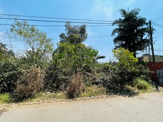 VENTA DE AMPLIO TERRENO - EL ENCINAL, ZONA 7 DE MIXCO  - 4