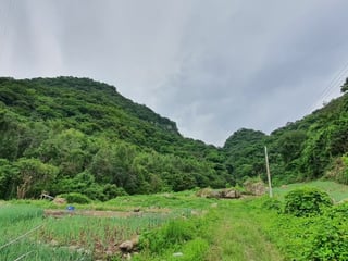 Terreno en Venta a 3 minutos de Panajachel Solola - Image 4