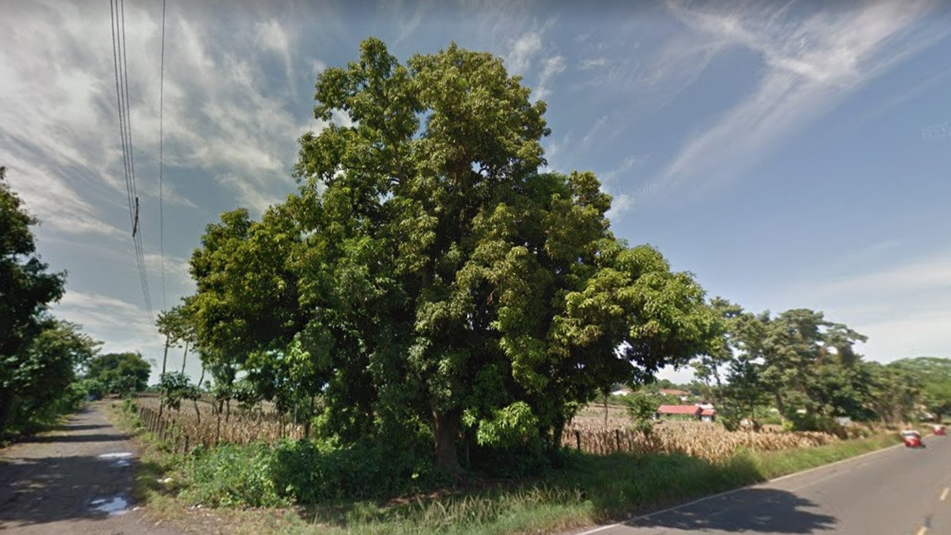 Terreno en alquiler KM 235 Aldea Las Palmas Coatepeque