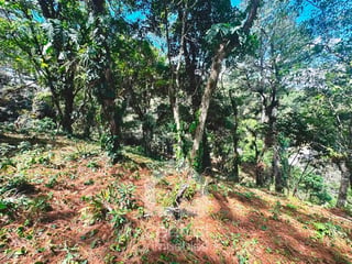 Terrenos en venta de diferentes tamaños en las Cumbres, zona 16 - 4