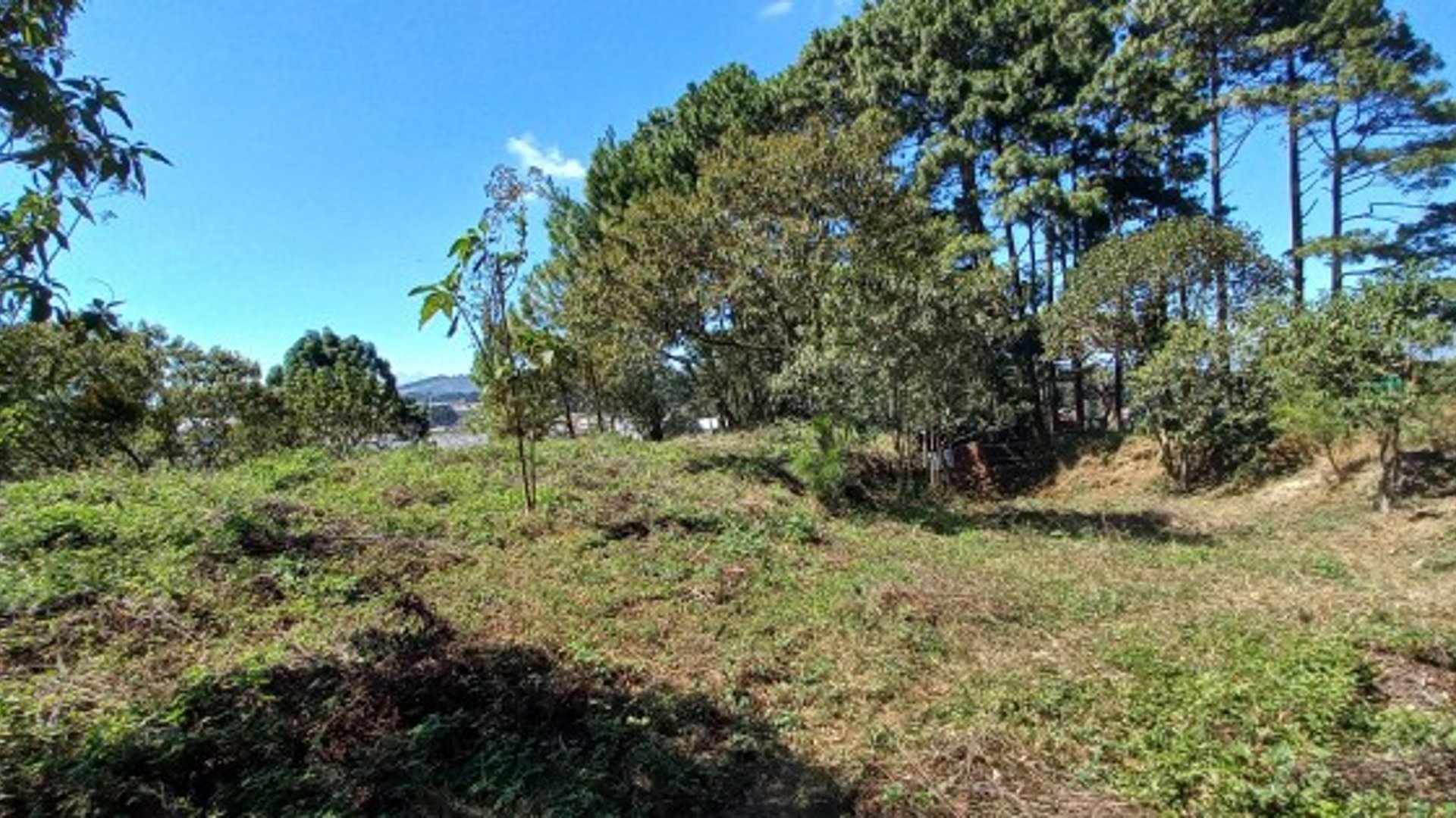 El Pajón santa Catarina Pinula se vende terreno rustico